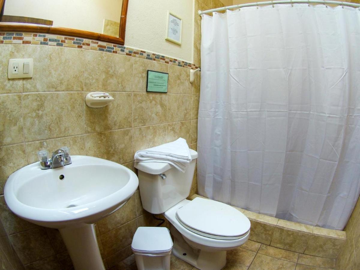 Casa Del Arupo B&B Quito Extérieur photo